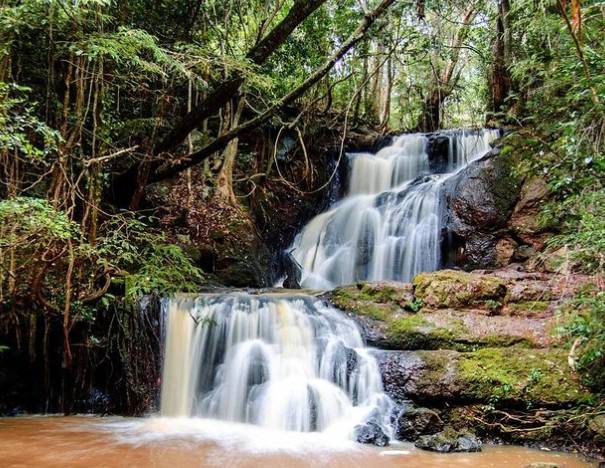 Karura Forest