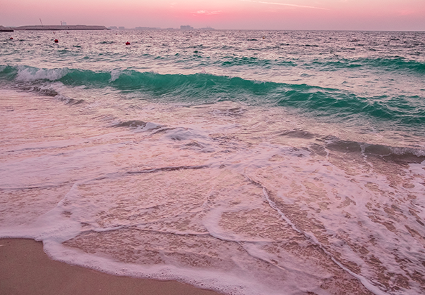 Pink sand beach Bermuda