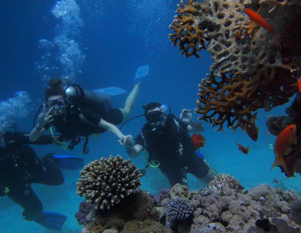 diving in Anau