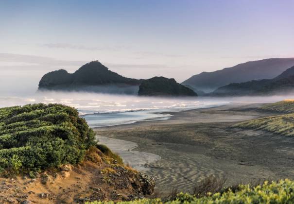 west coast's black-sand beaches