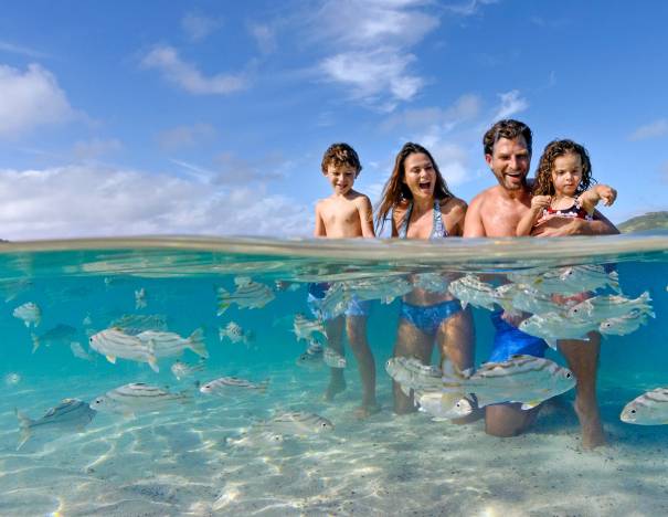 Snorkel in the Yasawa Islands