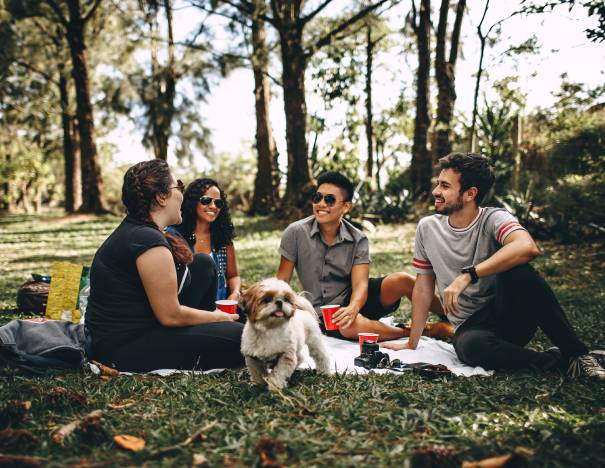 picnic on a private island